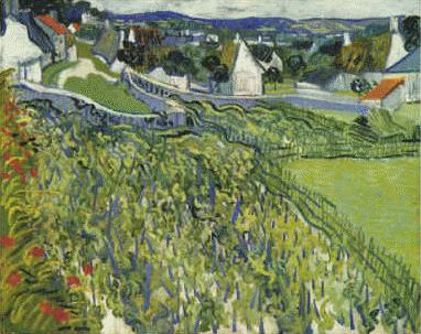 Vincent Van Gogh Vineyards at Auvers Norge oil painting art